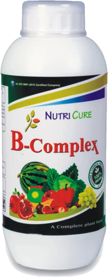 B-Complex — Growth Promoter — Enzymes