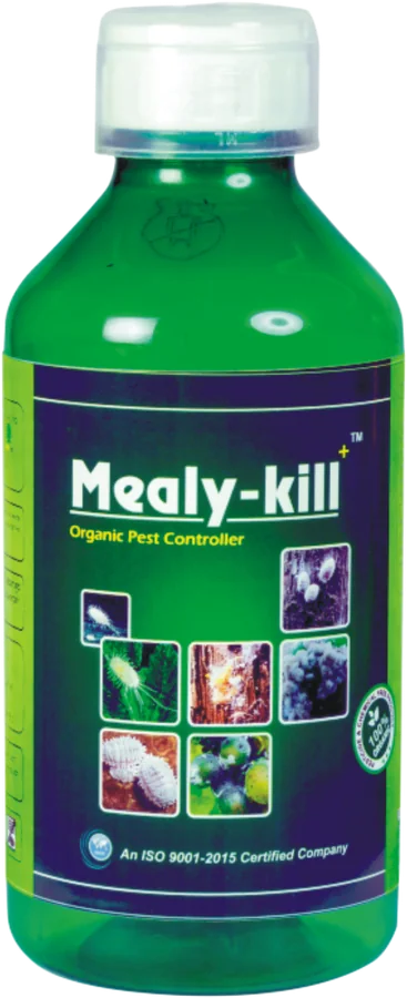 Mealy-Kill — Organic Pest Controller — Mealybug